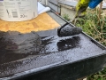 roof_10